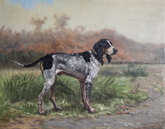 Généraux, chien de l'Equipage du Bruka - Jules Gélibert - Collection particulière - Don à la Société de Vènerie